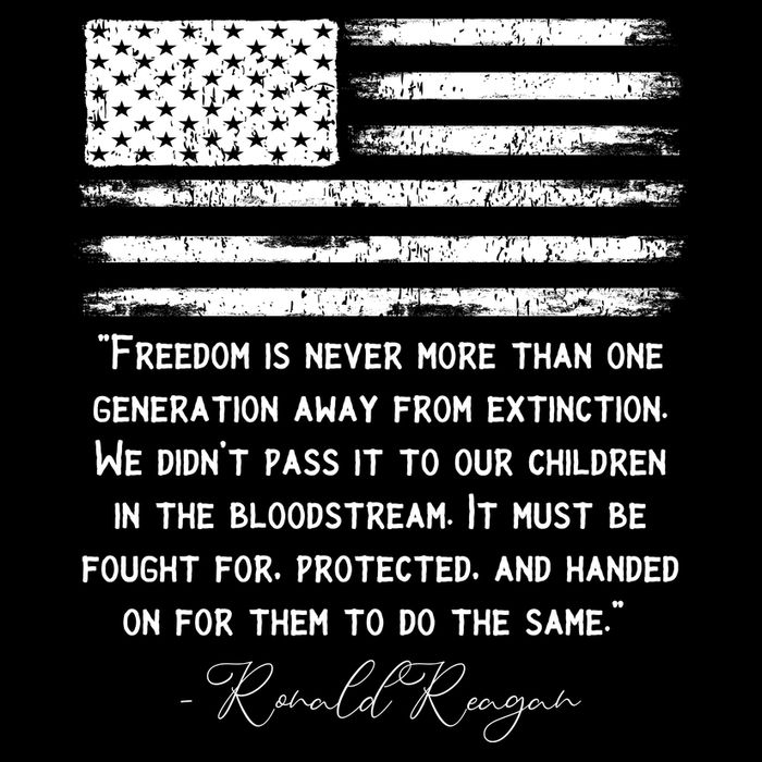 Ronald Reagan Conservative Anti Democrat Toddler Hoodie