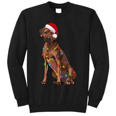 Rhodesian Ridgeback Christmas Lights Xmas Dog Lover Sweatshirt
