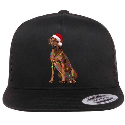 Rhodesian Ridgeback Christmas Lights Xmas Dog Lover Flat Bill Trucker Hat