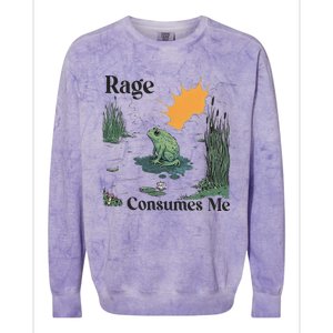 Retro Rage Consumes Me Funny Meme Frog Nature Lover Women Colorblast Crewneck Sweatshirt