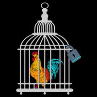 Red Rooster Cock Male Chastity Chicken In Cage Womens Tank Top