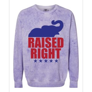 Raised Right Donald Trump Supporter Republican Elephant Gift Colorblast Crewneck Sweatshirt