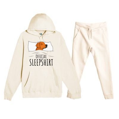 Rhodesian Ridgeback Dog Sleepshirt Premium Hooded Sweatsuit Set