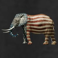 Republican Adult Drive Performance Visor