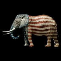 Republican Baseball Sleeve Shirt