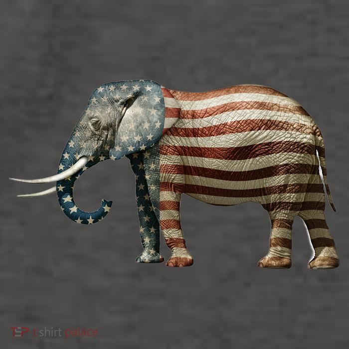 Republican Vector Backpack