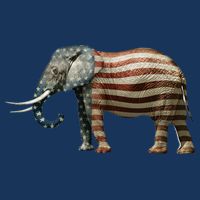 Republican Baby Bodysuit