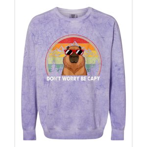 Retro Rodent Funny Capybara Dont Be Worry Be Capy Colorblast Crewneck Sweatshirt