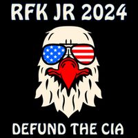 RFK Robert F Kennedy Jr For President 2024 Wool Snapback Cap