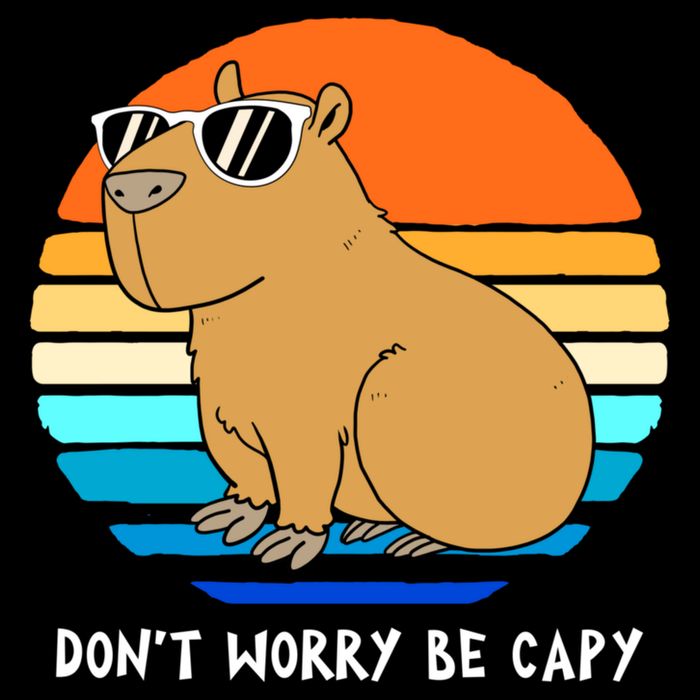 Retro Rodent Funny Capybara Dont Be Worry Be Capy Drawstring Bag