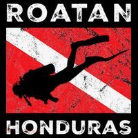 Retro Roatan Honduras Scuba Dive Vintage Dive Flag Diving Tall T-Shirt