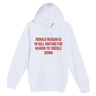 Ronald Reagan Is In Hell Waiting For Heaven To Trickle Down Premium Pullover Hoodie