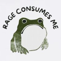 Retro Rage Is Consuming Me Meme Funny Angry Grumpy Frog Flat Bill Trucker Hat