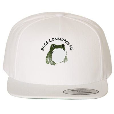 Retro Rage Is Consuming Me Meme Funny Angry Grumpy Frog Wool Snapback Cap