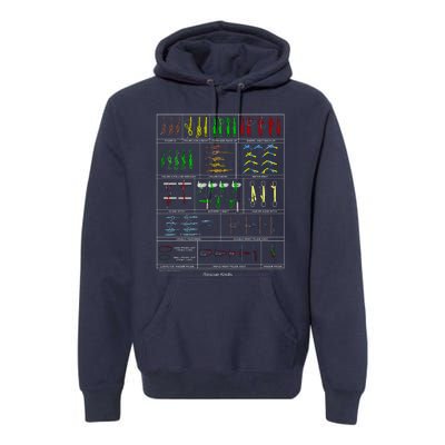 Rope Rescue Knots Premium Hoodie