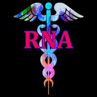 RNA Restorative Nurse Assistant Caduceus Nursing Aide Gift Zip Tote Bag