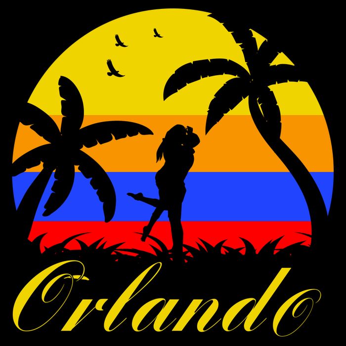 Retro Romantic Orlando Sunset Women's V-Neck T-Shirt