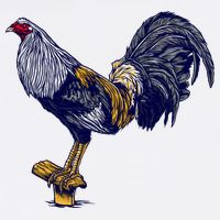 Rooster Adult Drive Performance Visor
