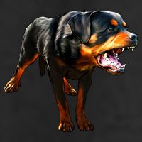 Rottweiler Cool Comfort Performance Bucket Hat