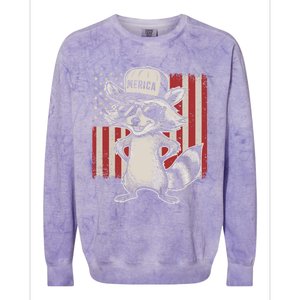 Redneck Raccoon Patriotic White Trash Party Attire Hillbilly Gift Colorblast Crewneck Sweatshirt