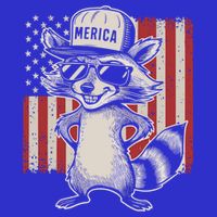 Redneck Raccoon Patriotic White Trash Party Attire Hillbilly Gift Hoodie