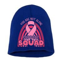 Rainbow Ribbon Pink Support Squad Breast Cancer Awareness Gift Short Acrylic Beanie