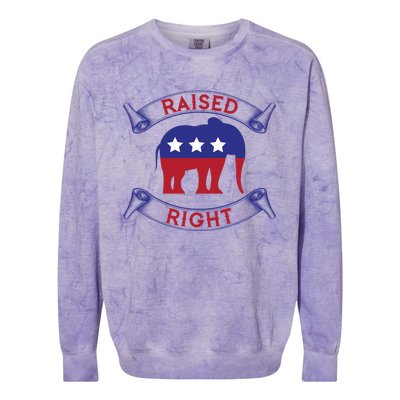 Raised Right Pro Trump Republican Elephant Politics Funny Gift Meaningful Gift Colorblast Crewneck Sweatshirt