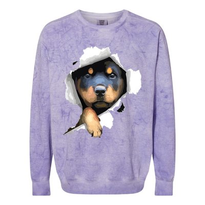 Rottweiler Rottie Rottweiler Lover Cute Rottweiler Colorblast Crewneck Sweatshirt