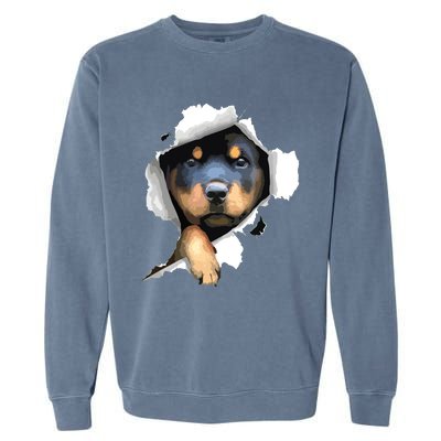 Rottweiler Rottie Rottweiler Lover Cute Rottweiler Garment-Dyed Sweatshirt