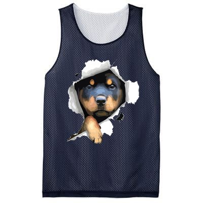 Rottweiler Rottie Rottweiler Lover Cute Rottweiler Mesh Reversible Basketball Jersey Tank