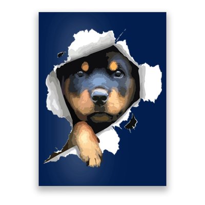 Rottweiler Rottie Rottweiler Lover Cute Rottweiler Poster