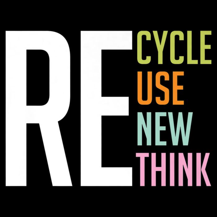 Recycle Reuse Renew Rethink Crisis Environmental Activism Wool Snapback Cap