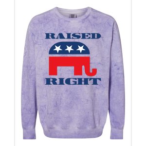 Raised Right Republican Party Colorblast Crewneck Sweatshirt