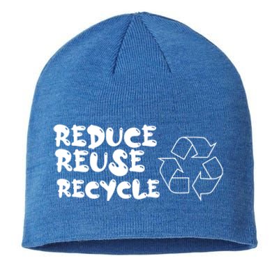 Reduce Reuse Recycle Gift Sustainable Beanie