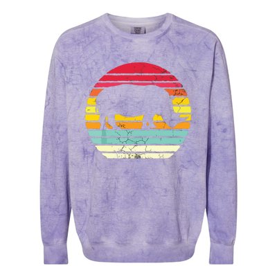 Retro Rhino Colorblast Crewneck Sweatshirt