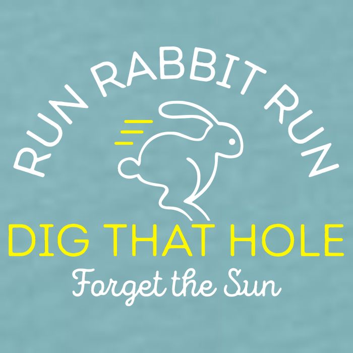 Run Rabbit Run Dig That Hole Sueded Cloud Jersey T-Shirt