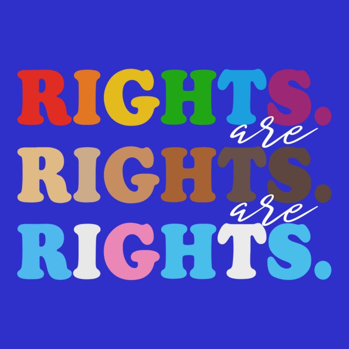 Rights Rights Rights Hu Rights Lgbtq Pride Blm Gift Women's V-Neck T-Shirt