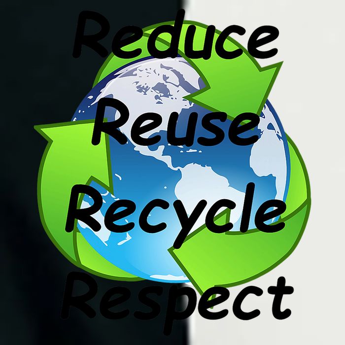 Reduce Reuse Recycle And Respect Earth Day Infant Baby Jersey Bodysuit