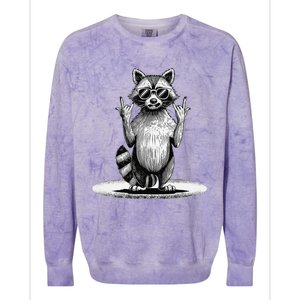 Retro Raccoon Rock Music Giftsfunny Raccoon Colorblast Crewneck Sweatshirt