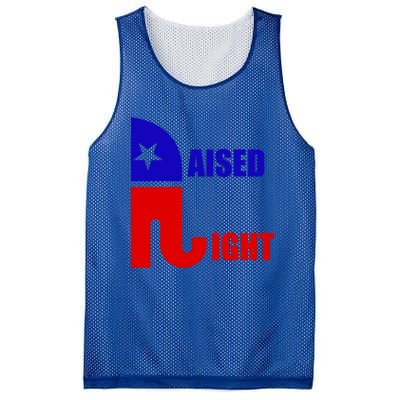 Raised Right Republican Elephant Pro Trump 2020 Patriotic Gift Mesh Reversible Basketball Jersey Tank