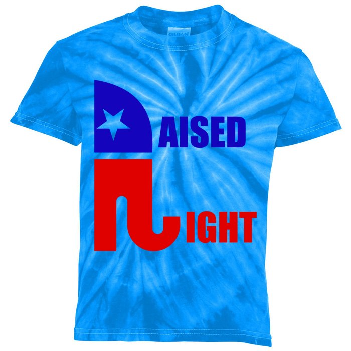 Raised Right Republican Elephant Pro Trump 2020 Patriotic Gift Kids Tie-Dye T-Shirt