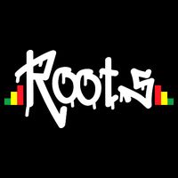 Reggae Roots Rasta Rastafari Grafitti Hip Hop Dub DnB Jungle Women's Crop Top Tee