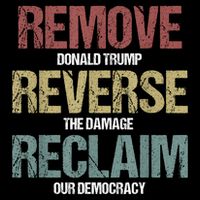 Remove Reverse Reclaim Protest Wool Snapback Cap