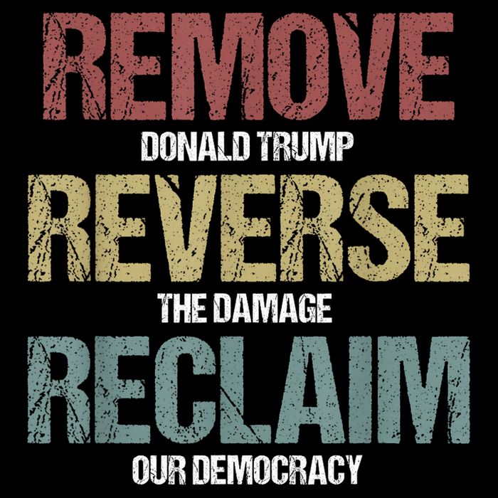 Remove Reverse Reclaim Protest Wool Snapback Cap