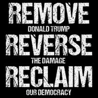 Remove Reverse Reclaim Protest 16 in Basic Backpack