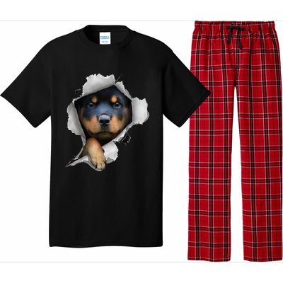 Rottweiler Rottie Rottweiler Lover Cute Rottweiler Pajama Set