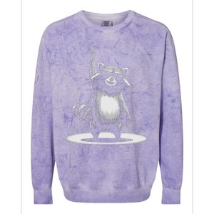 Retro Raccoon Rock Music Colorblast Crewneck Sweatshirt