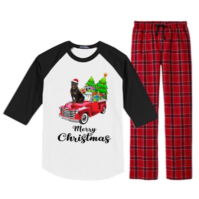 Rottweiler Ride Red Truck Christmas Pajama Gift Raglan Sleeve Pajama Set