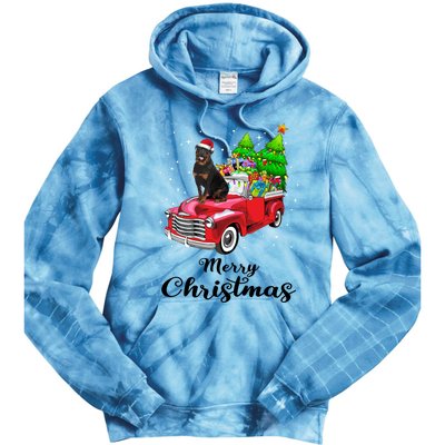 Rottweiler Ride Red Truck Christmas Pajama Gift Tie Dye Hoodie