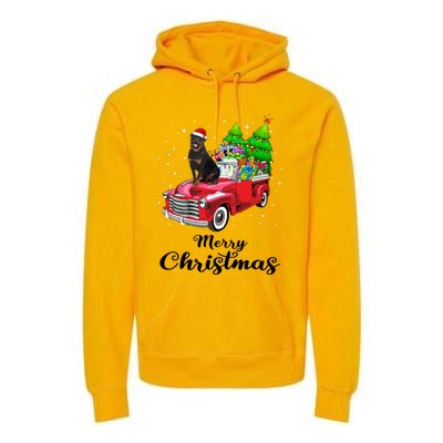 Rottweiler Ride Red Truck Christmas Pajama Gift Premium Hoodie